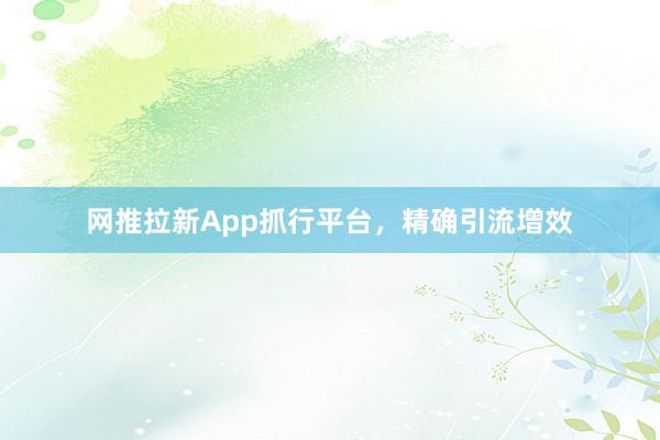 网推拉新App抓行平台,精确引流增效